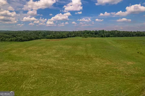 245 Hamil Rd #19.39 AC, Griffin, GA 30223