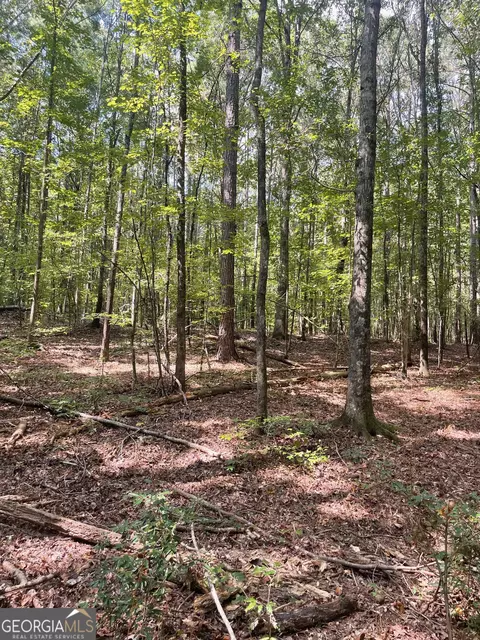 0 Elder Rd, Griffin, GA 30223 photo 6