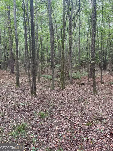 0 Elder Rd, Griffin, GA 30223 photo 16