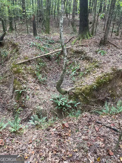 0 Elder Rd, Griffin, GA 30223 photo 10