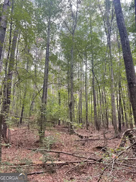 0 Elder Rd, Griffin, GA 30223 photo 15