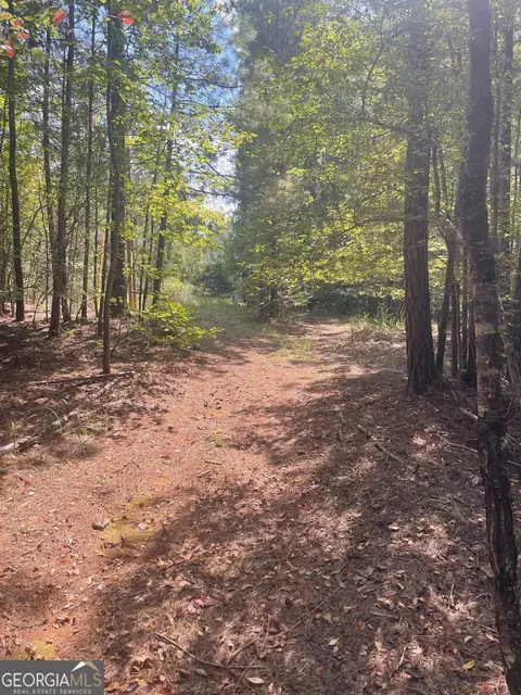 0 Elder Rd, Griffin, GA 30223 photo 3