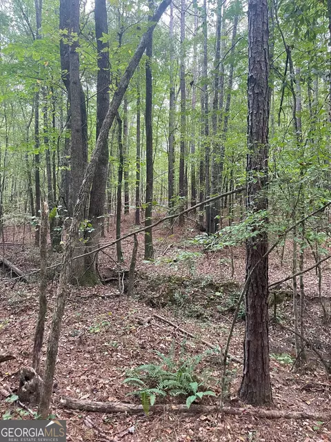 0 Elder Rd, Griffin, GA 30223 photo 17