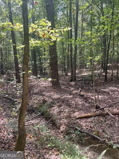 0 Elder Rd, Griffin, GA 30223