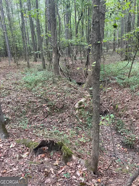 0 Elder Rd, Griffin, GA 30223 photo 19