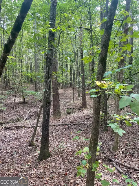 0 Elder Rd, Griffin, GA 30223 photo 9