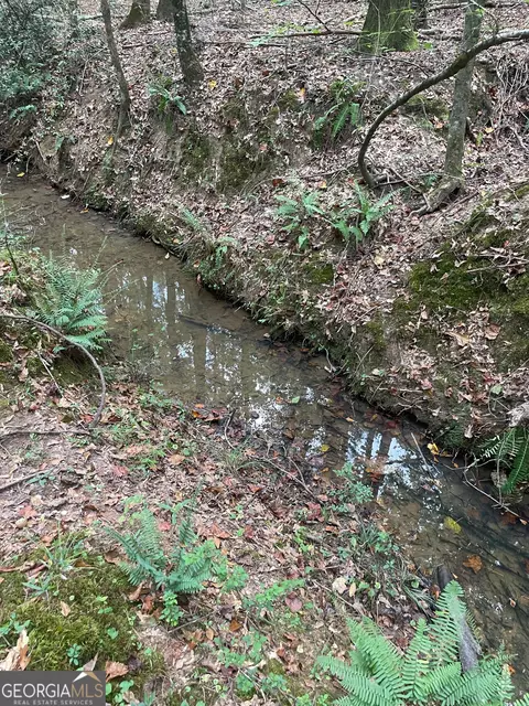 0 Elder Rd, Griffin, GA 30223 photo 14