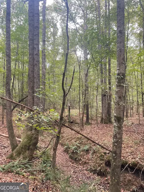 0 Elder Rd, Griffin, GA 30223 photo 18