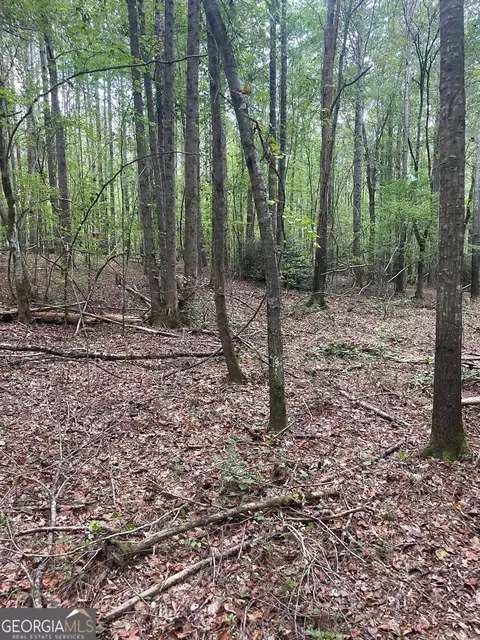 0 Elder Rd, Griffin, GA 30223 photo 11