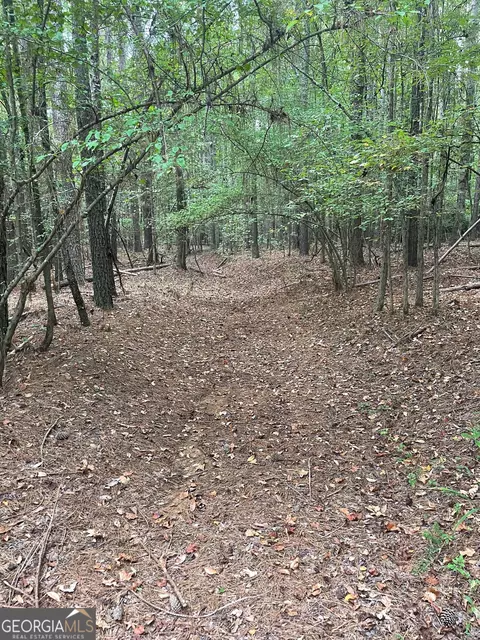 0 Elder Rd, Griffin, GA 30223 photo 21