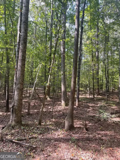 0 Elder Rd, Griffin, GA 30223 photo 4