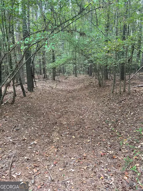 0 Elder Rd, Griffin, GA 30223 photo 23