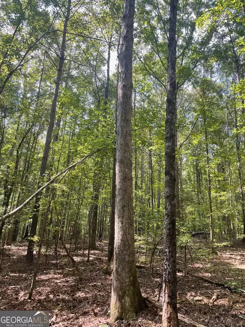 0 Elder Rd, Griffin, GA 30223 photo 2