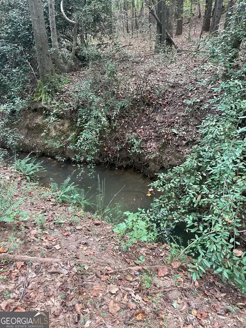 0 Elder Rd, Griffin, GA 30223 photo 13