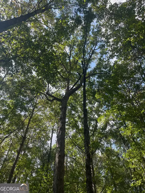 0 Elder Rd, Griffin, GA 30223 photo 5
