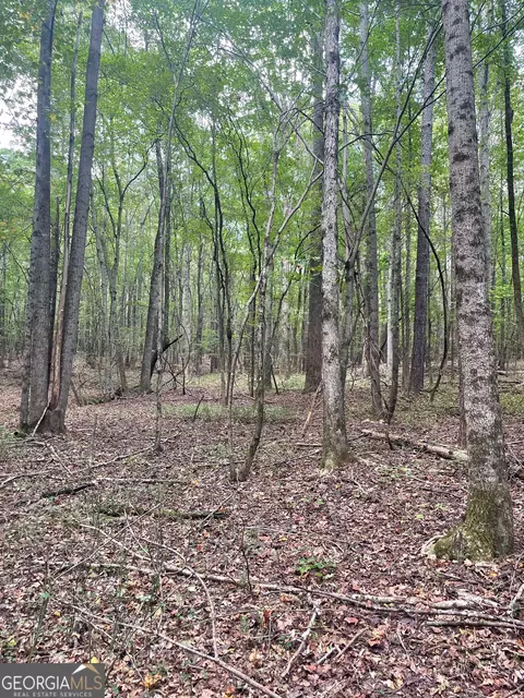 0 Elder Rd, Griffin, GA 30223 photo 20