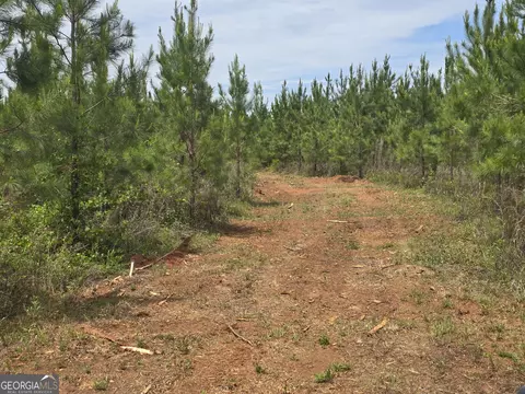 13 Marvin Murphy Rd, Ellaville, GA 31806
