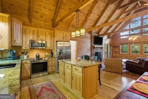 469 Moss Patch Trl, Jasper, GA 30143 photo 17
