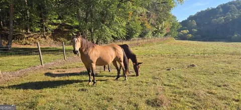 122 Black Rock Rdg, Mineral Bluff, GA 30559