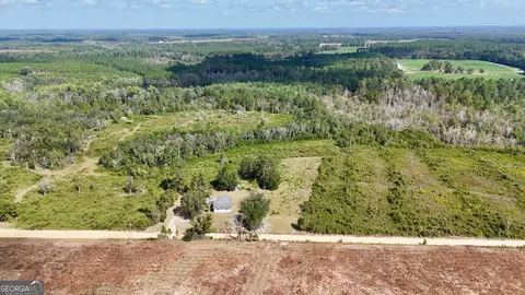 0 Pine Cone Trl, Mershon, GA 31551
