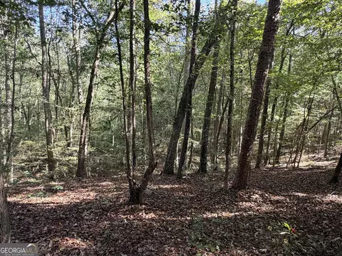 0 Sims Bridge Rd, Commerce, GA 30529 photo 4