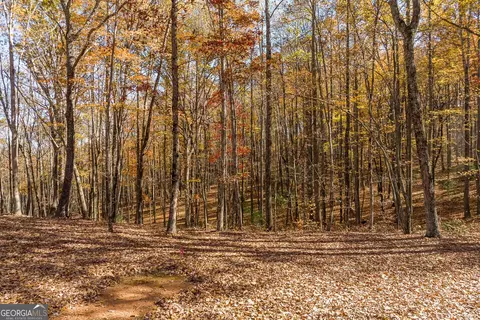 Anderson Creek Tanager Trail, Ellijay, GA 30536