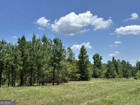 0 Highway 19, Dublin, GA 31021