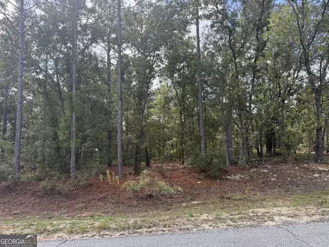 lot51 Ridge Loop, Blackshear, GA 31516 photo 2