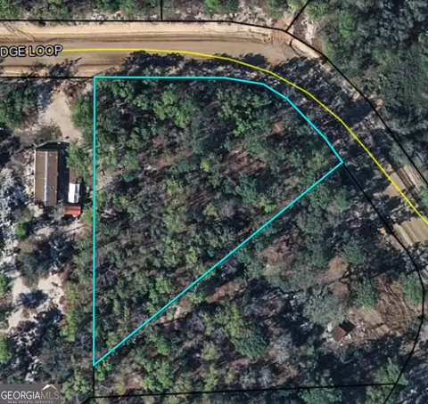 lot51 Ridge Loop, Blackshear, GA 31516 photo 4