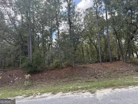 lot51 Ridge Loop, Blackshear, GA 31516