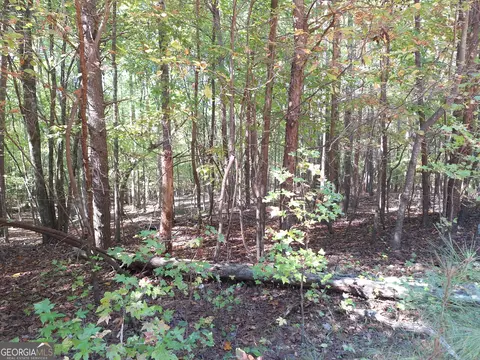 0 Everett Mtn Rd, Rockmart, GA 30153 photo 7