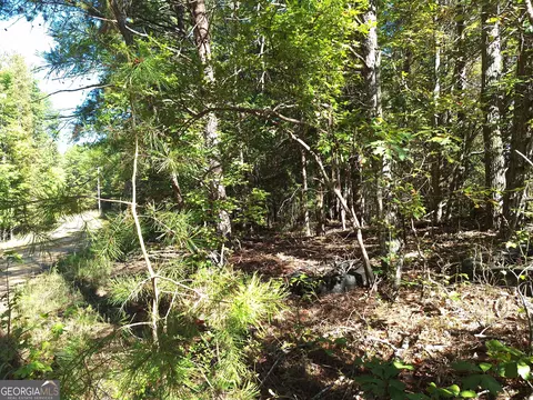 0 Everett Mtn Rd, Rockmart, GA 30153 photo 2