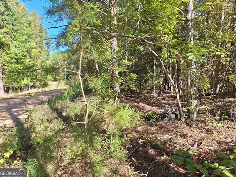 0 Everett Mtn Rd, Rockmart, GA 30153 photo 4