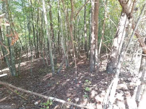 0 Everett Mtn Rd, Rockmart, GA 30153 photo 10
