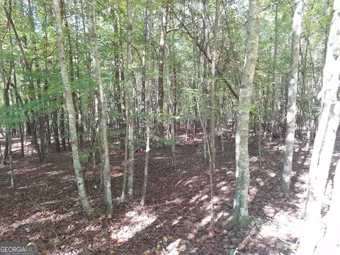0 Everett Mtn Rd, Rockmart, GA 30153 photo 9