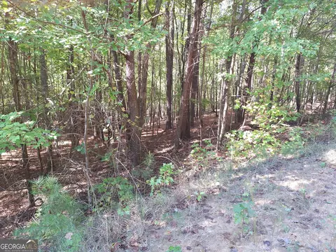 0 Everett Mtn Rd, Rockmart, GA 30153 photo 5