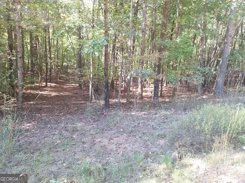 0 Everett Mtn Rd, Rockmart, GA 30153 photo 6