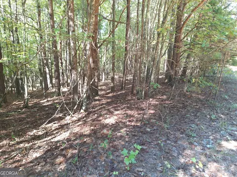 0 Everett Mtn Rd, Rockmart, GA 30153 photo 8