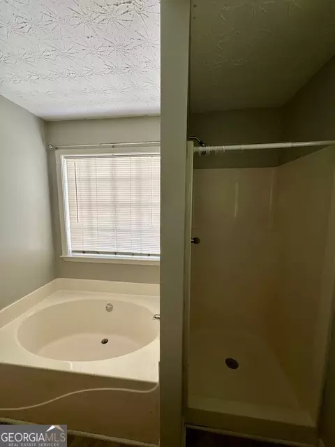 Bath - 1904 Elm Park Dr, Hampton, GA 30228 photo 3 of 3