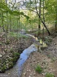 0 Browning Rd, Rockmart, GA 30153