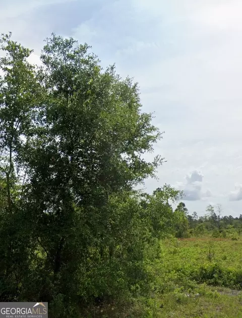 0 Dogwood Ln #LOT 1, Folkston, GA 31537