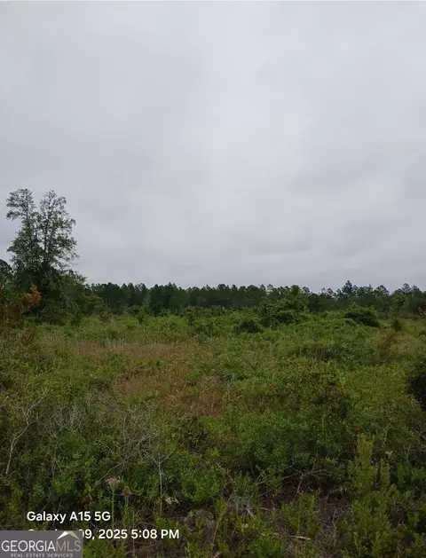 0 Dogwood Ln, Folkston, GA 31537