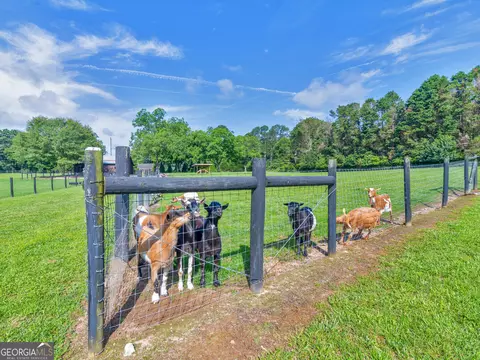 3905 Pointer Rd, Loganville, GA 30052 photo 67