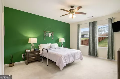 197 Trail Winds Dr, Bethlehem, GA 30620 photo 17