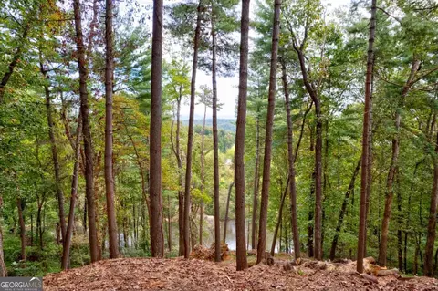 LT 102R Ponca Court #102R, Ellijay, GA 30540