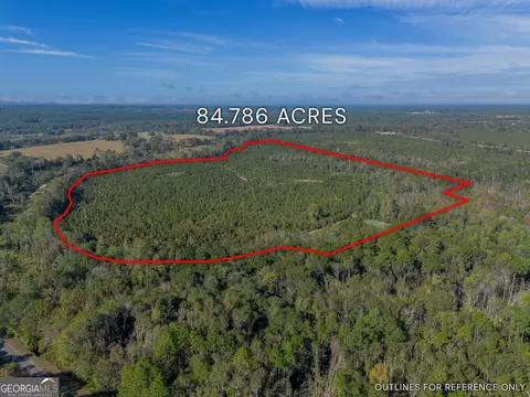 Tract 8 United Church Road, Jacksonville, GA 31544