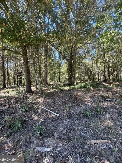 0 Fairview Farms Cir, Lavonia, GA 30553