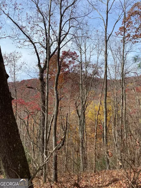 L334 335 Brushy Top Drive #334 335, Ellijay, GA 30540