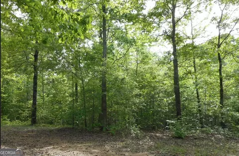 0 N 16 Hwy, Whitesburg, GA 30185