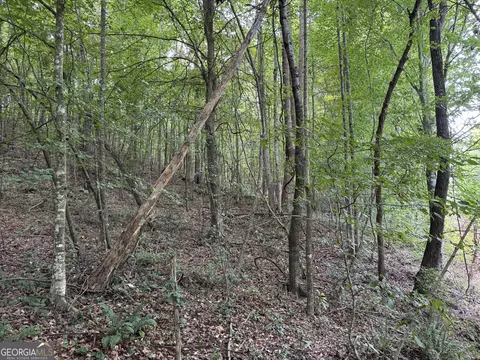 2 Harbert Valley Road, Toccoa, GA 30577 photo 21